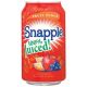 Snapple Fruit Punch-11.5oz