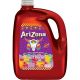 Arizona Fruit Punch-1GAL(4)