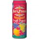 Arizona PP .99 Fruit Punch-23.