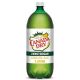 Diet Canada Dry Ale-2L(8)