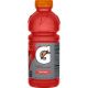 Gatorade Fruit Punch-20oz(24)