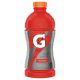 Gatorade Fruit Punch-28oz(15)