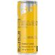 Red Bull Yellow/Tropic-8.4oz(2