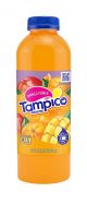 Tampico Mango Punch 20oz(24)